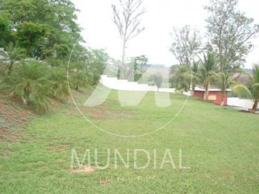 13 - Jardim